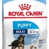 Royal Canin Maxi Puppy 4 kg - hvalpefoder til store racer