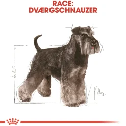 Royal Canin Miniature Schnauzer Adult 7,5 kg - tørfoder til voksne hunde