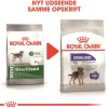 Royal Canin Mini Sterilised Adult 8 kg - hundefoder til steriliserede små hunde