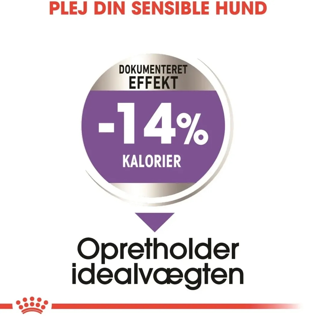 Royal Canin Mini Sterilised Adult 8 kg - hundefoder til steriliserede små hunde