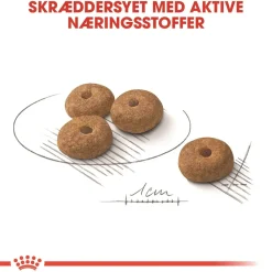 Royal Canin Mini Sterilised Adult 8 kg - hundefoder til steriliserede små hunde