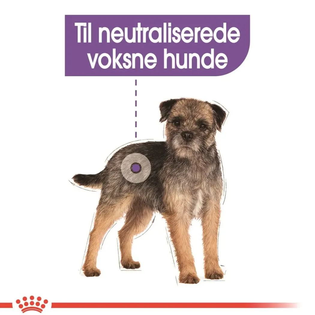 Royal Canin Mini Sterilised Adult 3 kg - hundefoder til små steriliserede hunde