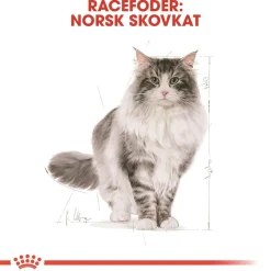 Royal Canin Norsk Skovkat 2 kg