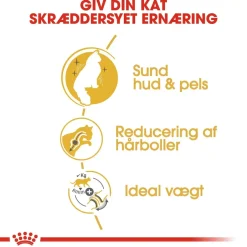Royal Canin Norsk Skovkat 10 kg (Norwegian Forest Cat)