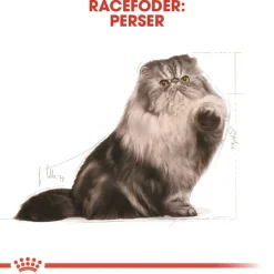 Royal Canin Persian 10 kg