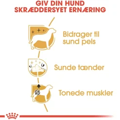 Royal Canin Poodle Adult 7,5 kg - tørfoder til voksne pudler