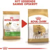 Royal Canin Pug Adult 7,5 kg - tørfoder til mops