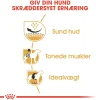 Royal Canin Pug Adult 1,5 kg - tørfoder til mops