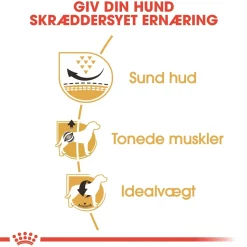 Royal Canin Pug Adult 1,5 kg - tørfoder til mops