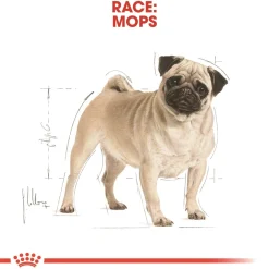 Royal Canin Pug Adult 1,5 kg - tørfoder til mops