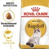 Royal Canin Ragdoll 2 kg