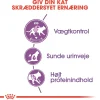 Royal Canin Regular Sterilised 10 kg