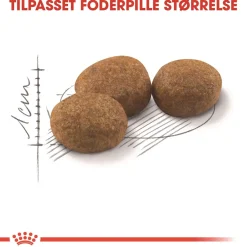Royal Canin Regular Sterilised 10 kg