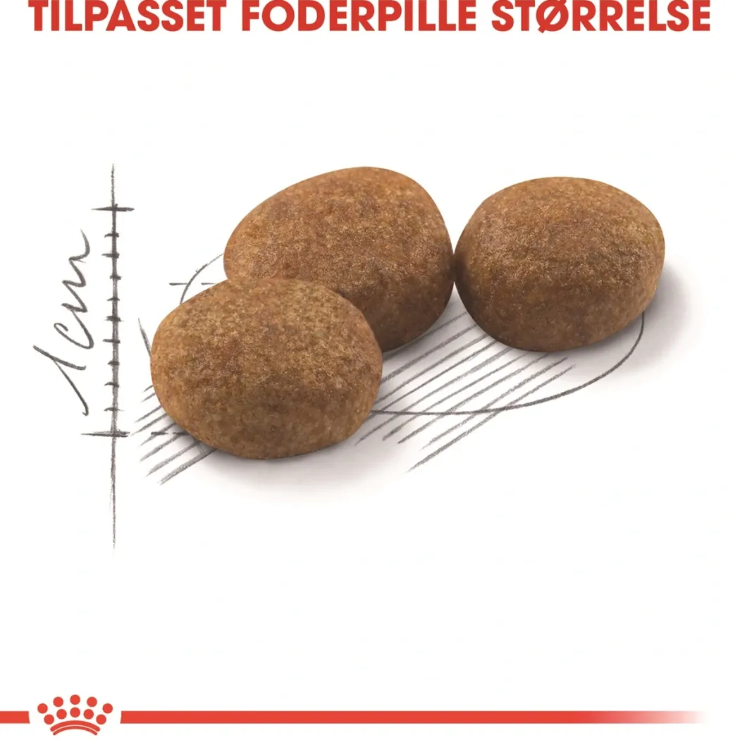 Royal Canin Regular Sterilised 10 kg