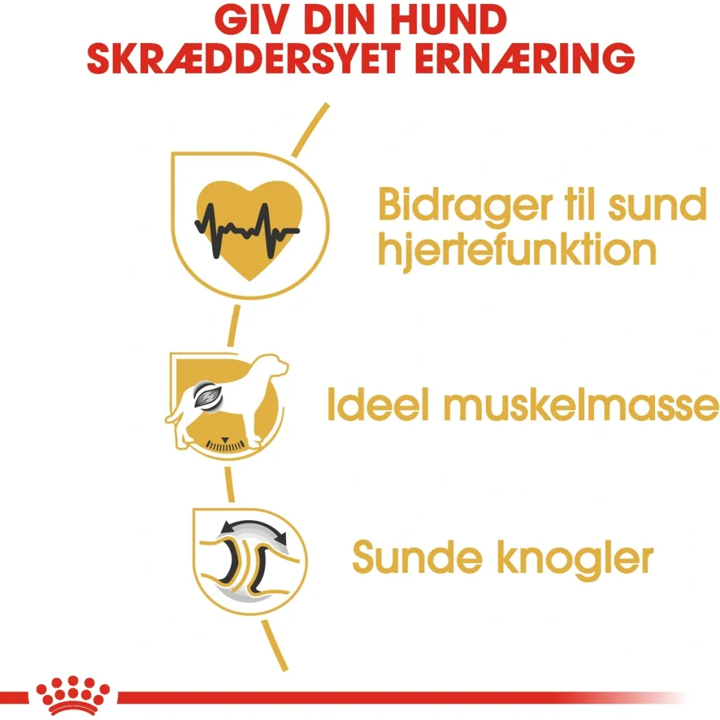 Royal Canin Rottweiler Adult 12 kg - tørfoder til voksne hunde