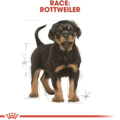 Royal Canin Rottweiler Puppy 12 kg - tørfoder til hvalpe