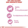 Royal Canin Second Age Kitten 400 g