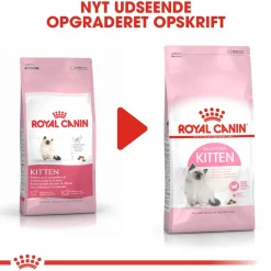 Royal Canin Second Age Kitten 2 kg