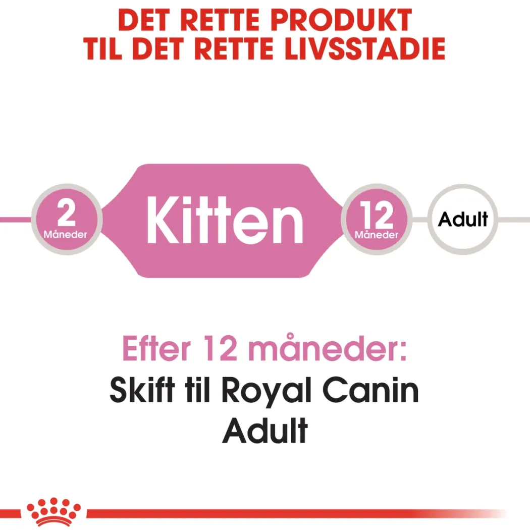 Royal Canin Second Age Kitten 4 kg