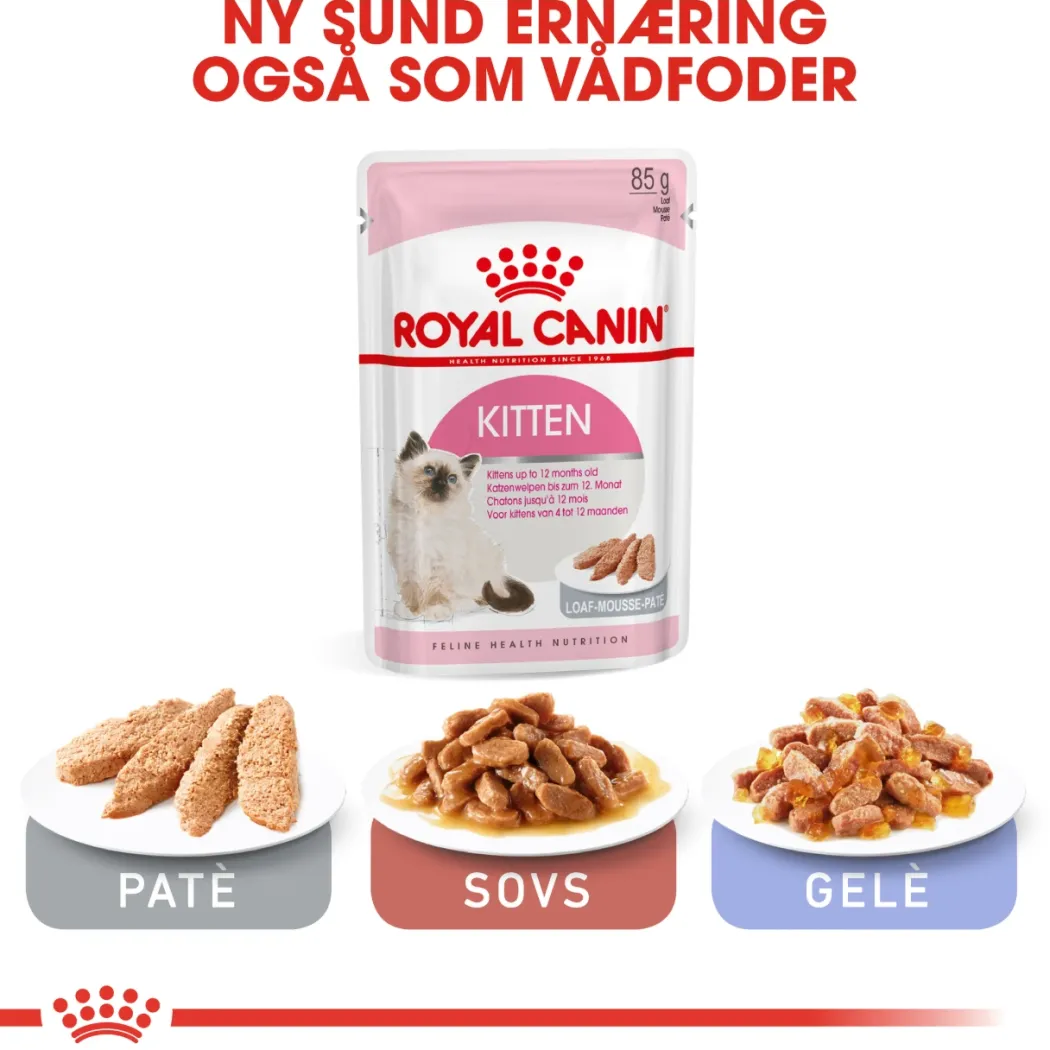 Royal Canin Second Age Kitten 4 kg