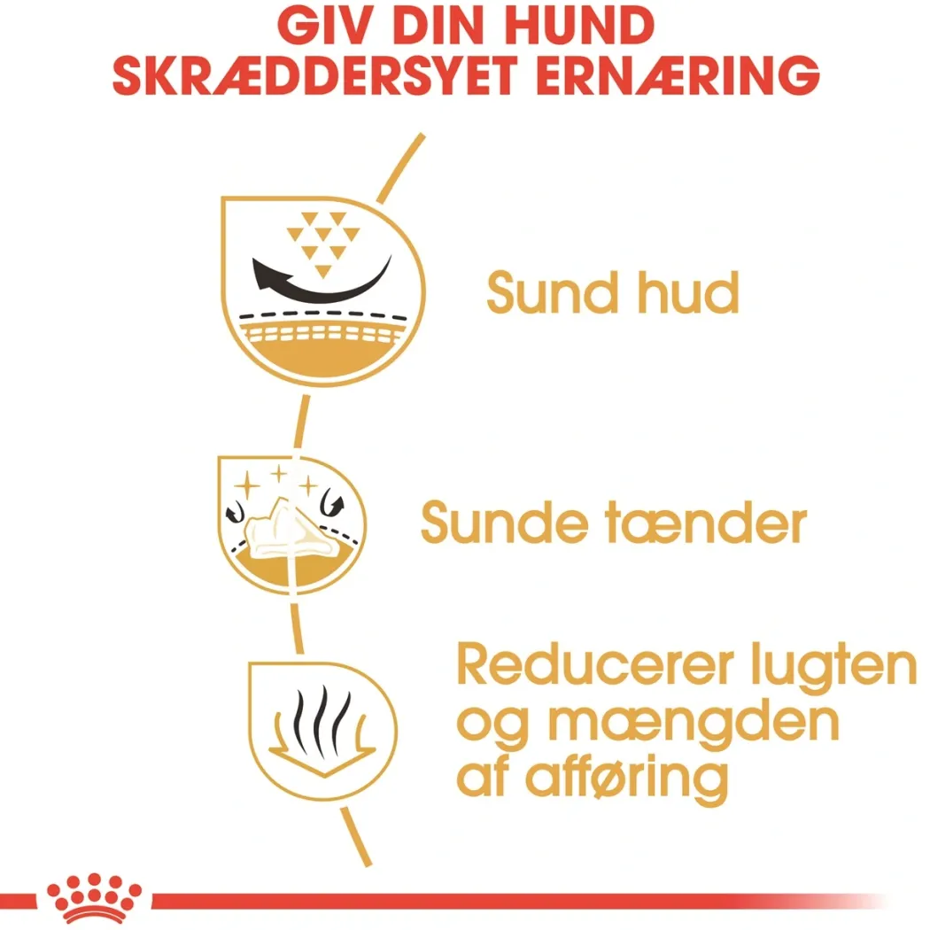 Royal Canin Shih Tzu Adult 1,5 kg - tørfoder til små hunde