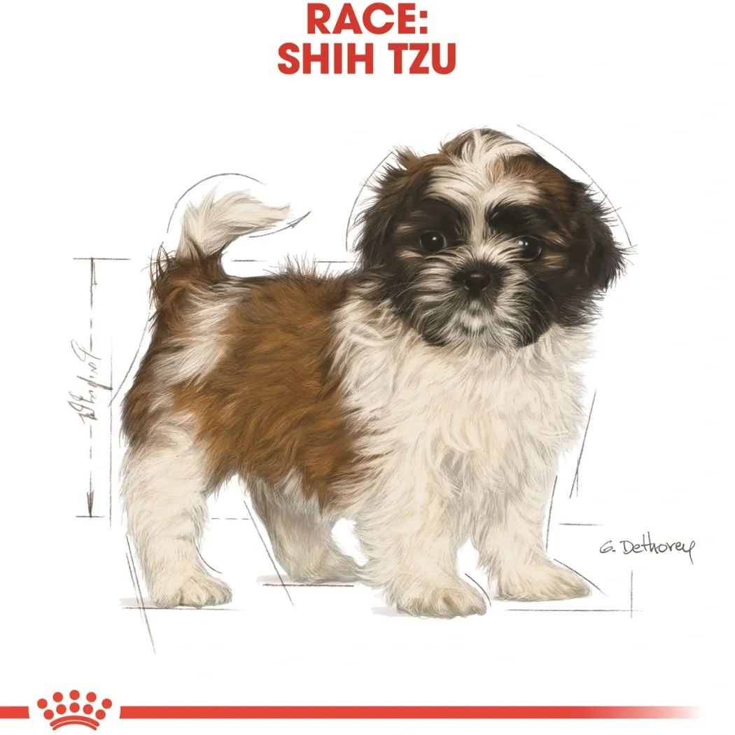 Royal Canin Shih Tzu Puppy 1,5 kg - tørfoder til hvalpe