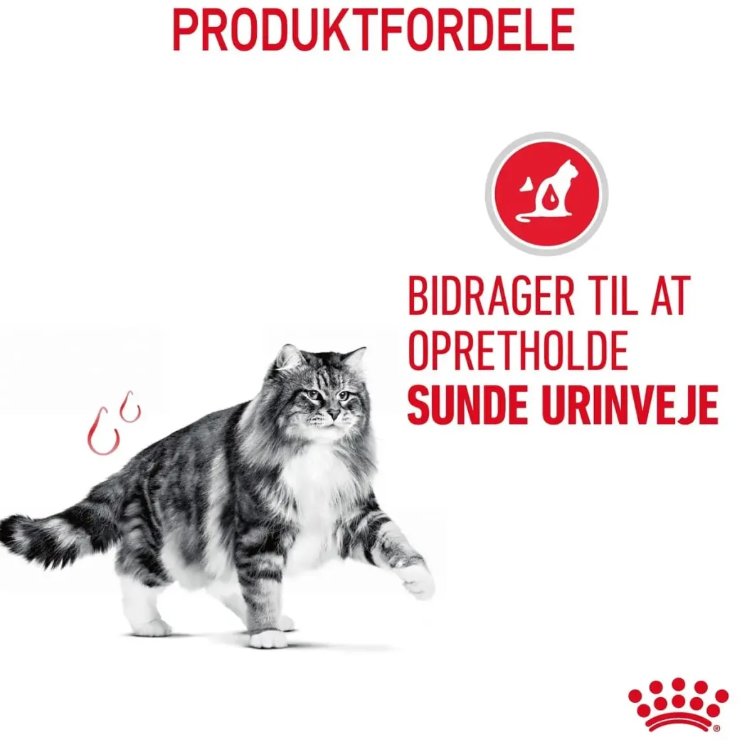 Royal Canin Urinary Care 2 kg