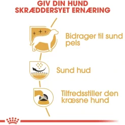 Royal Canin West Highland White Terrier Adult 1,5 kg - tørfoder til Westie