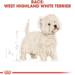 Royal Canin West Highland White Terrier Adult 3 kg - tørfoder til Westie