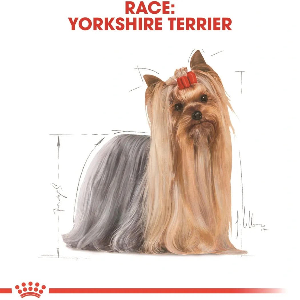 Royal Canin Yorkshire Terrier Adult 1,5 kg - tørfoder til små hunde