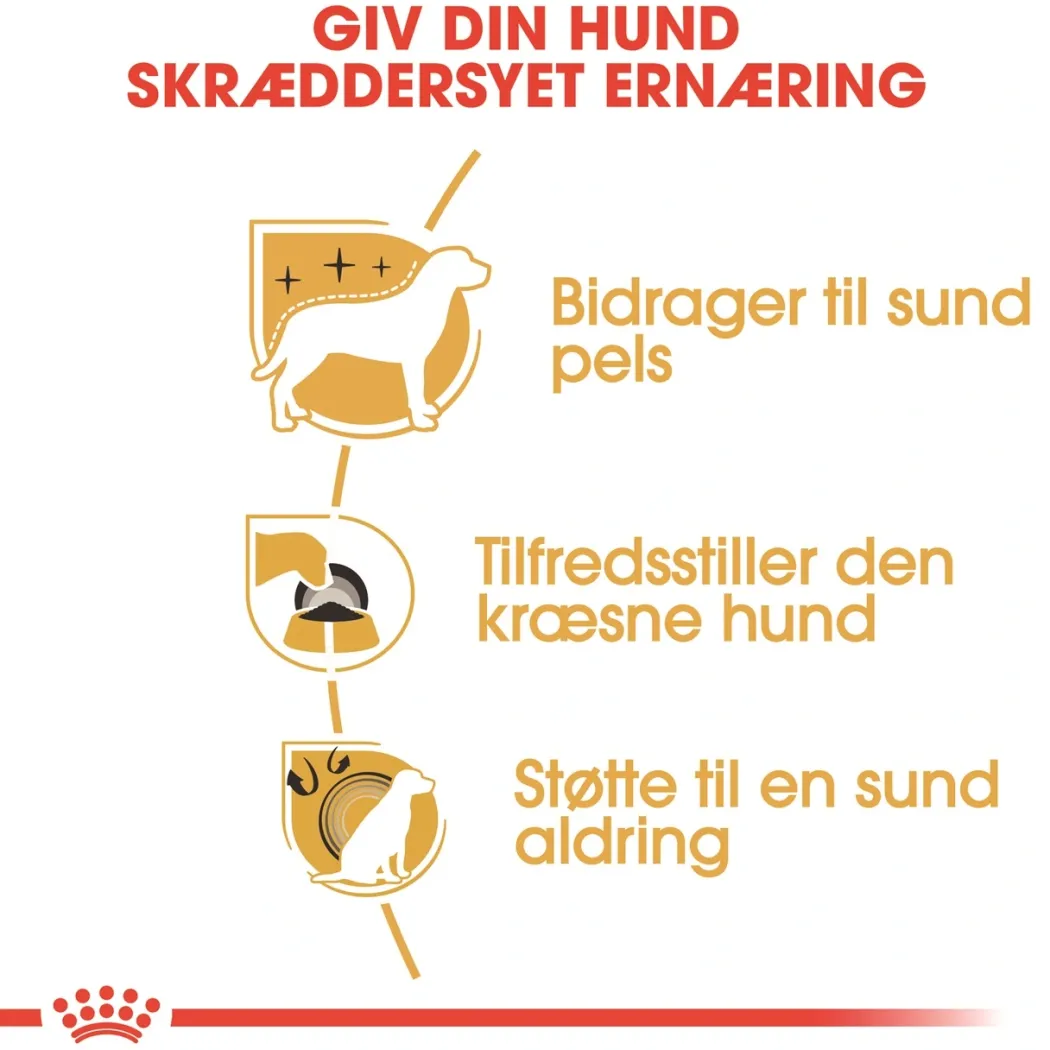 Royal Canin Yorkshire Terrier Adult 1,5 kg - tørfoder til små hunde