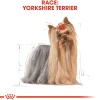 Royal Canin Yorkshire Terrier Adult 7,5 kg - tørfoder til voksne hunde