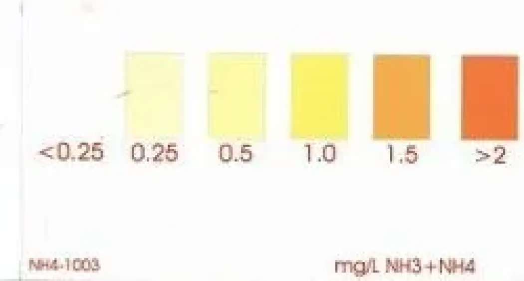 Salifert Ammonium Test NH3 / NH4