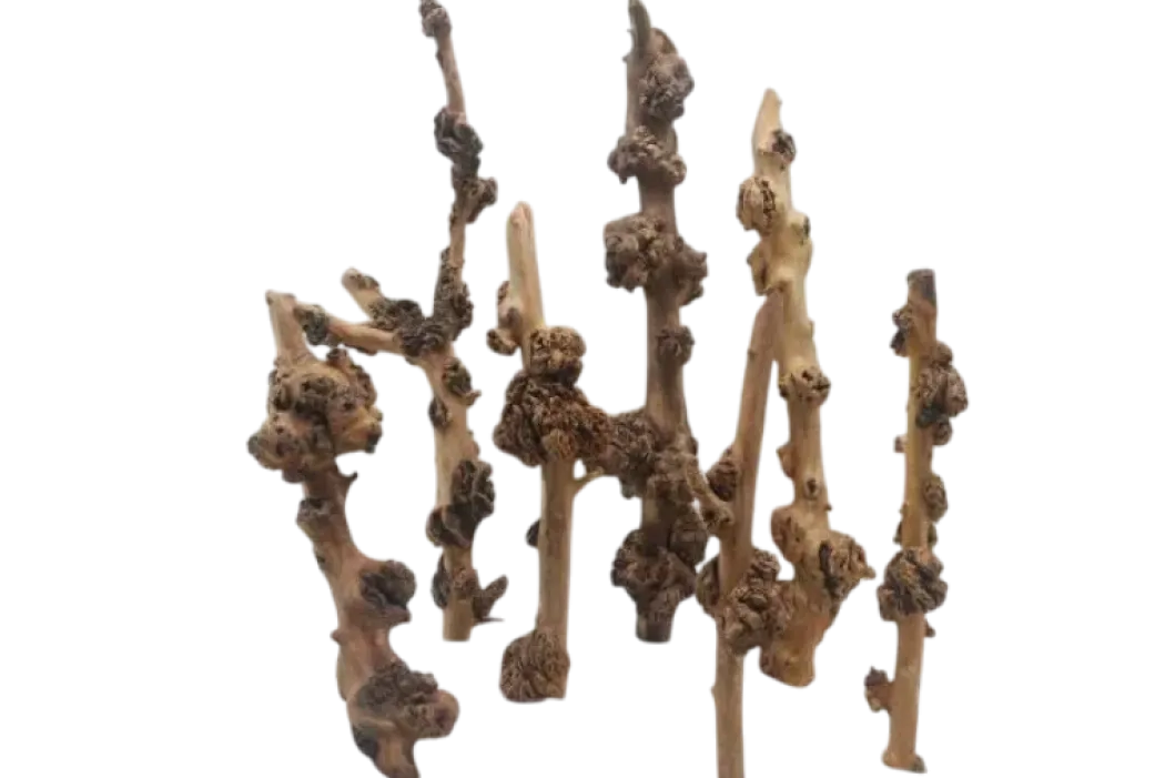 SavaWood 50-70 cm. x Ø2-5cm