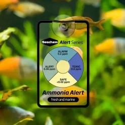 Seachem Ammonia Alert 1 Year