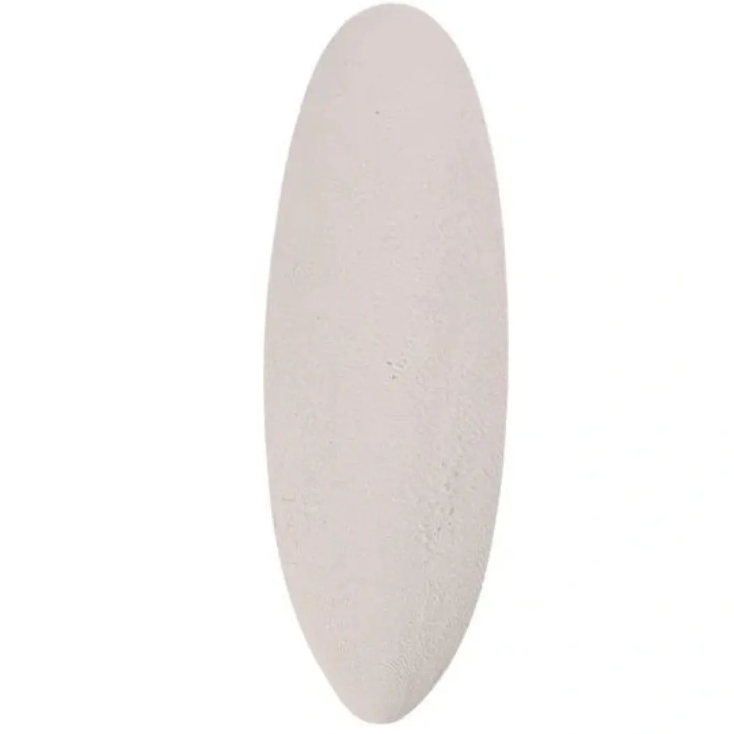 Sepia skal 23 cm