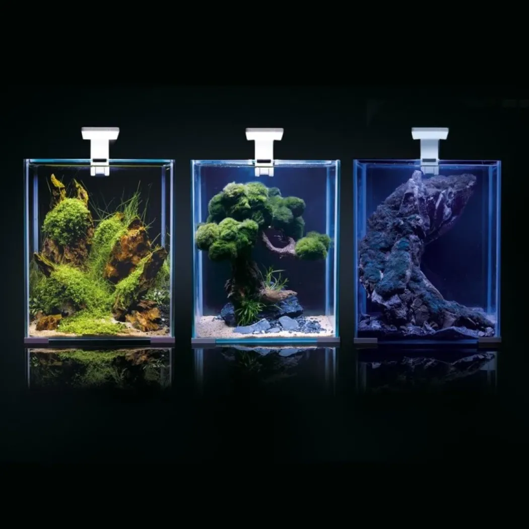 Shrimpset Day and Night 20 L akvarium 25x25x30 cm Sort