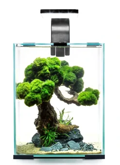 Shrimpset Day and Night 30 L akvarium 29x29x35 cm Sort