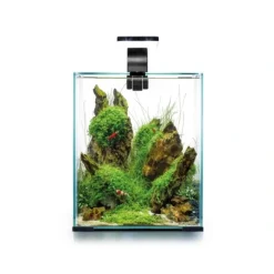 Shrimpset Day and Night 10 L 20x20x25 cm Sort