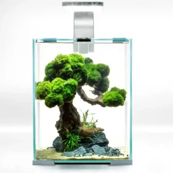 Shrimpset Day and Night 10 L 20x20x25 cm Hvid