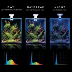 Shrimpset Day and Night 10 L 20x20x25 cm Hvid