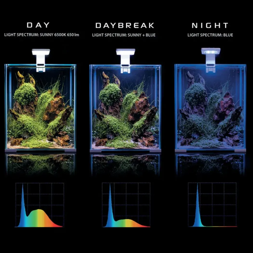 Shrimpset Day and Night 10 L 20x20x25 cm Hvid