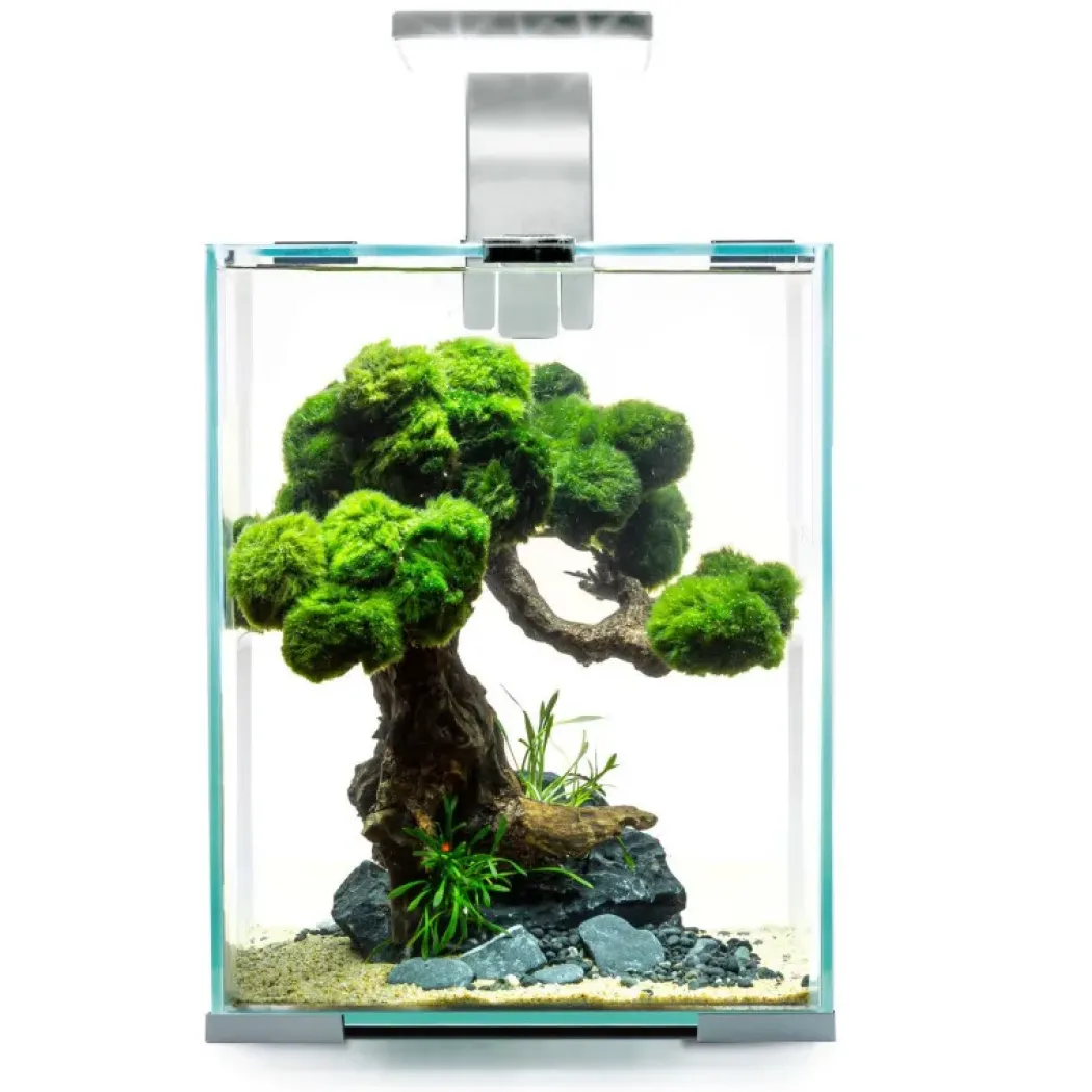 Shrimpset Day and Night 10 L 20x20x25 cm Hvid