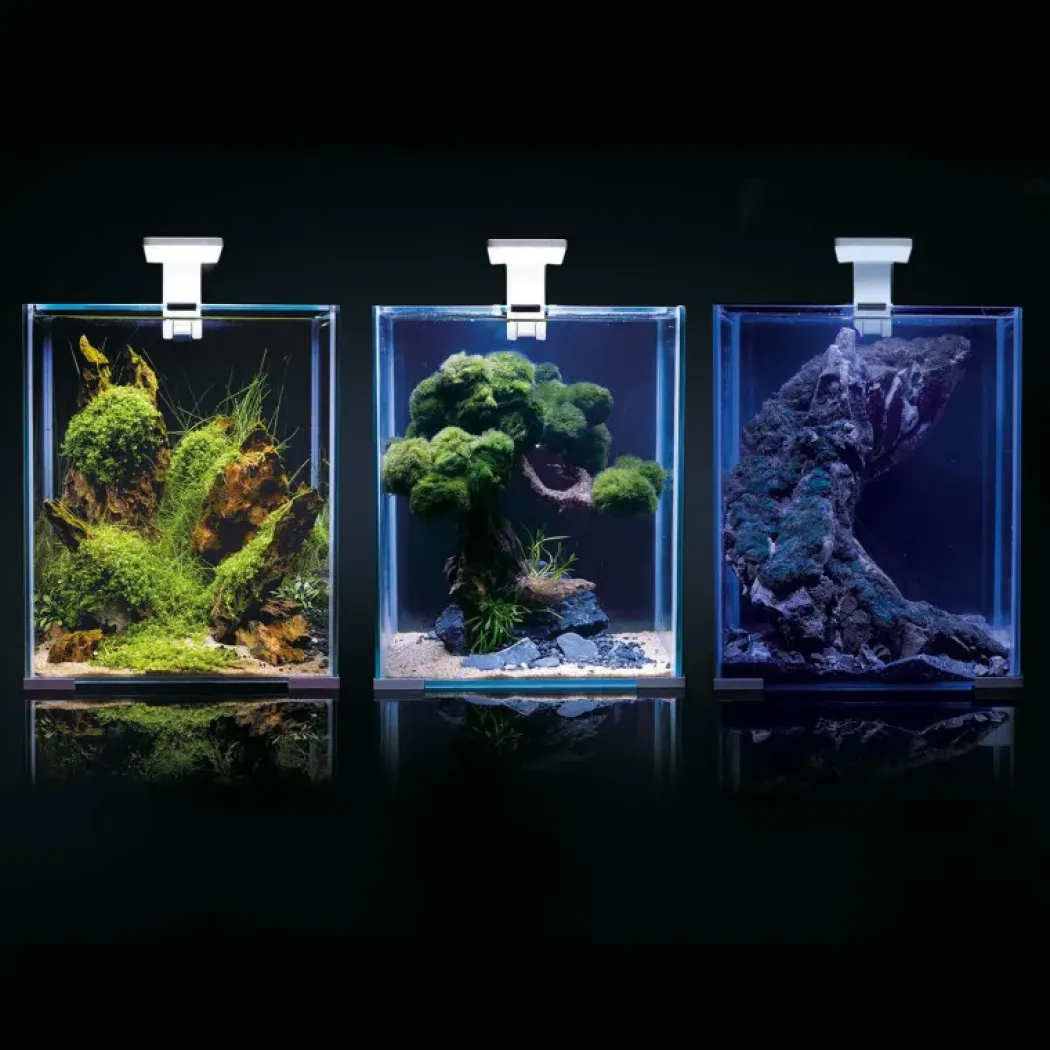 Shrimpset Day and Night 20 L 25x25x30 cm Hvid