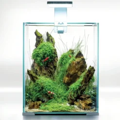 Shrimpset Day and Night 20 L 25x25x30 cm Hvid