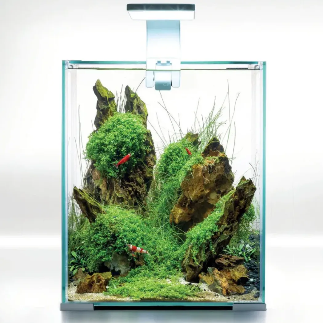 Shrimpset Day and Night 20 L 25x25x30 cm Hvid