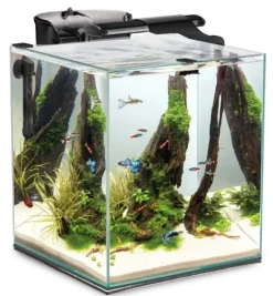 Shrimpset Duo 49 L 35x35x40cm Sort