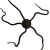 Slangesøstjerne Ophioderma rubicundum