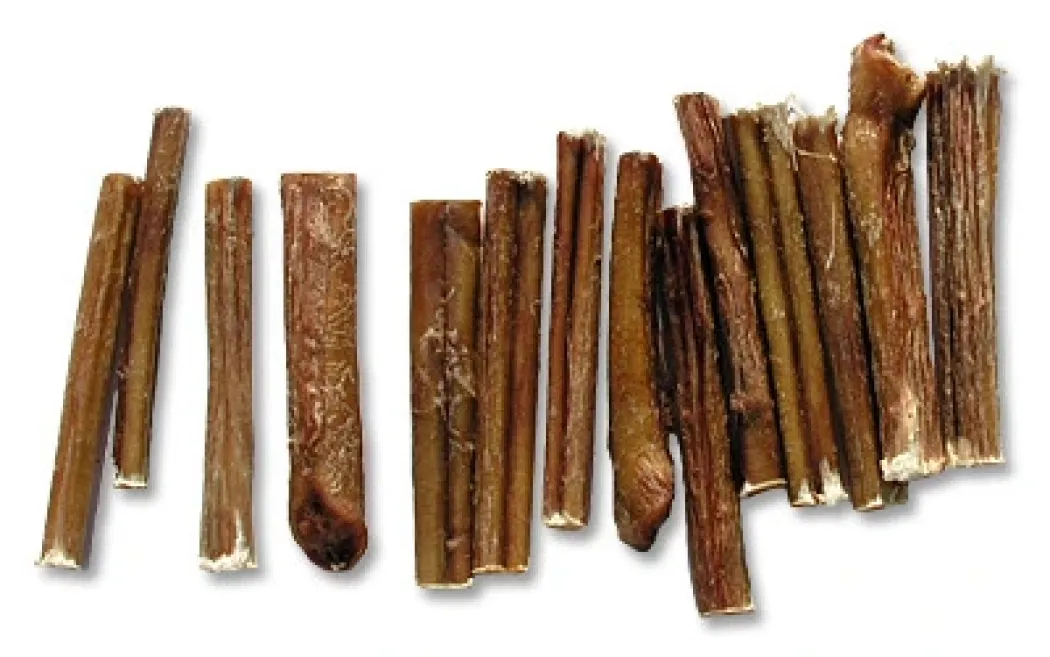 Snackit Energistang 12 cm - Naturlige hundesnacks