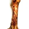 Strudse Kødben Dino 30 cm - naturligt tyggeben til hunde